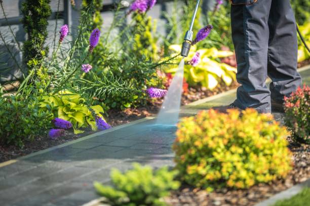 Best Sidewalk and Walkway Cleaning  in Keowee Key, SC